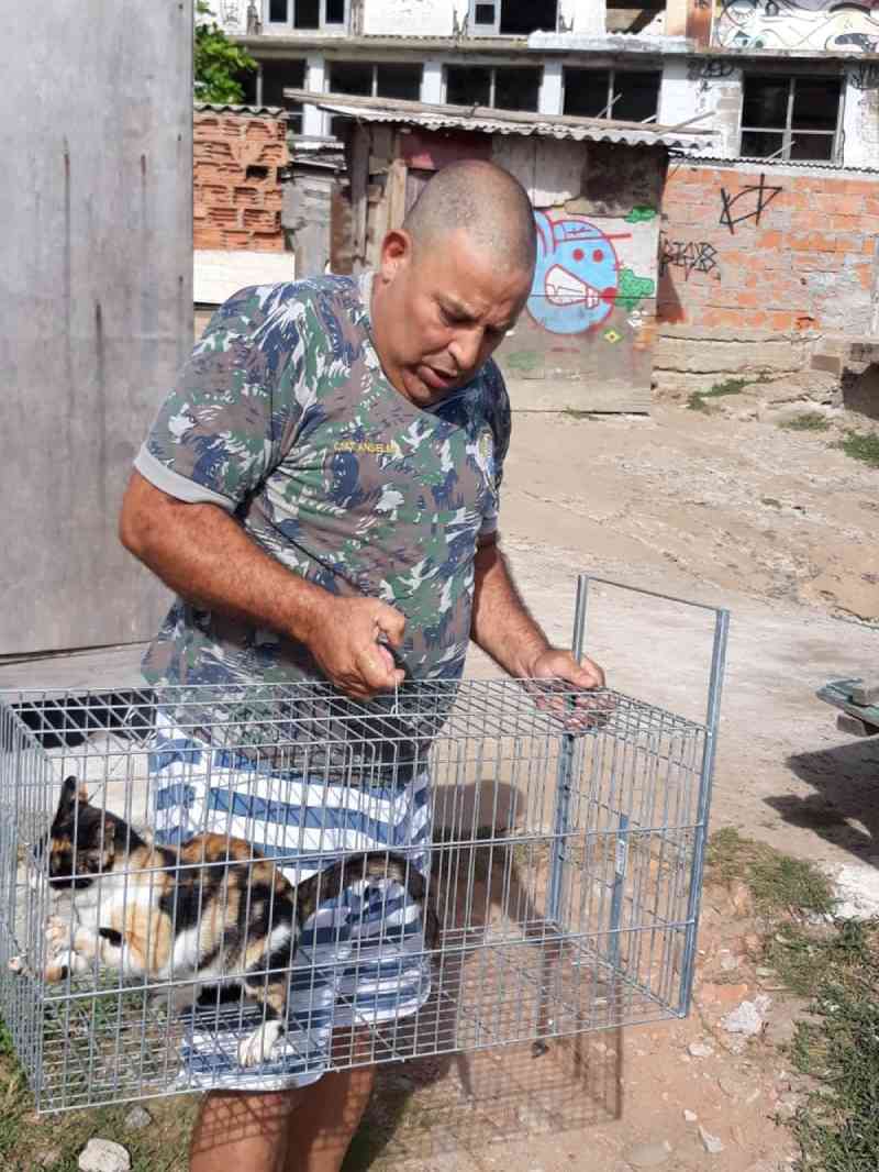 Protetores resgatam gatinhos do pesqueiro de Arraial do Cabo, RJ, após mortes por envenenamento