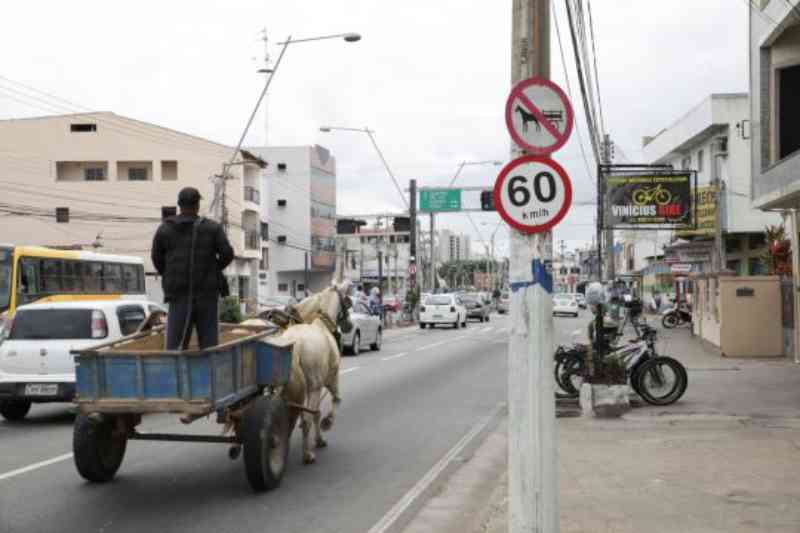 Lei não é cumprida e carroças circulam livremente pelas ruas de Campos, RJ