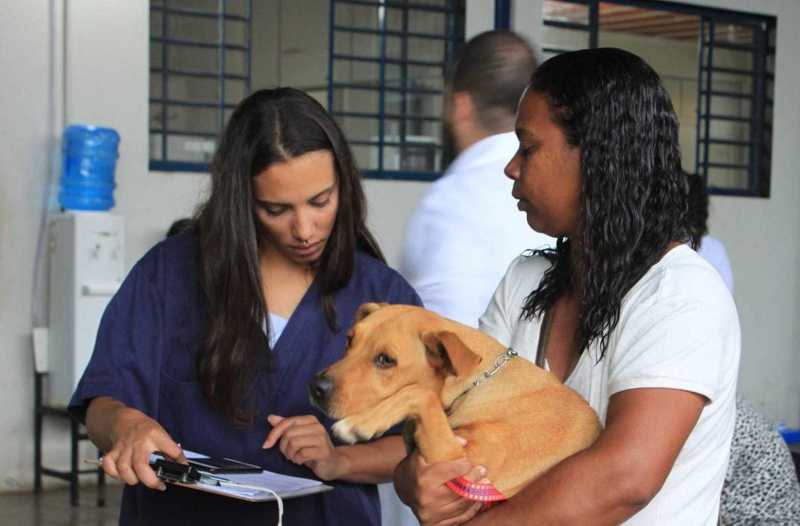 Projeto na Câmara de Porto Alegre prevê desconto nos impostos de quem colabora com a defesa dos animais