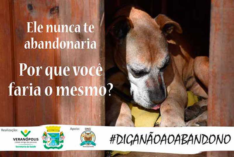 Veranópolis (RS) lança campanha contra o abandono de animais