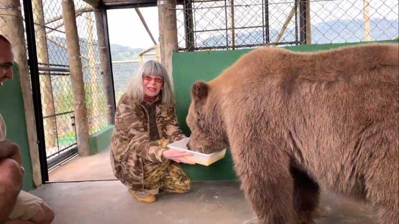 Rita Lee alimenta a ursa Rowena no Santuário dos Gnomos, em São Paulo — Foto: Reprodução/ Youtube