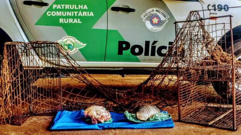 Polícia Militar Ambiental multa caçador em R$ 1,5 mil e apreende carne de tatu em Rosana, SP