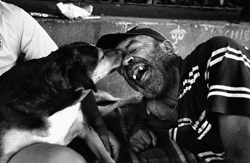 Agora é lei! Em São Paulo, moradores de rua podem entrar em abrigos com seus animais de estimação