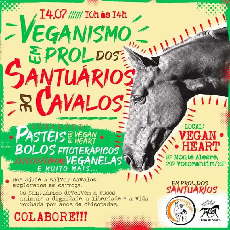 Santuários que abrigam cavalos e outros animais realizam eventos em conjunto, em São Paulo e Votorantim, SP