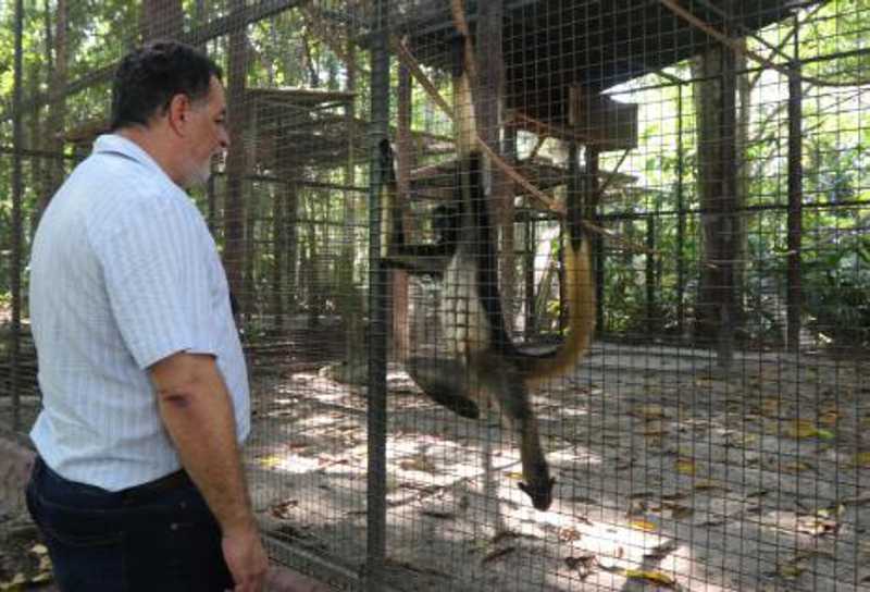 Audiência pública debate soluções para os animais do zoológico do Tropical, em Manaus