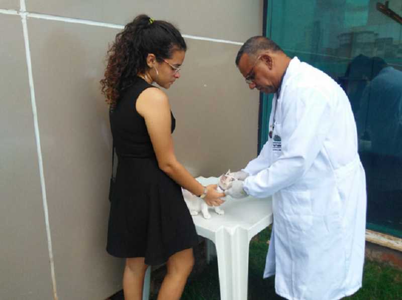 VetMóvel realiza castração gratuita e outros serviços para animais nesta segunda-feira em Fortaleza