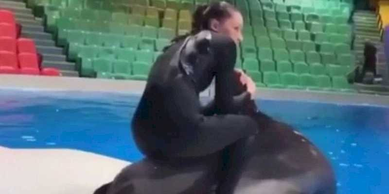 Treinadora é acusada de crueldade animal por sentar nas costas de golfinho