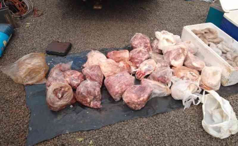 Caçador é preso com 87 quilos de carne e linguiça de animais silvestres em Naviraí, MS
