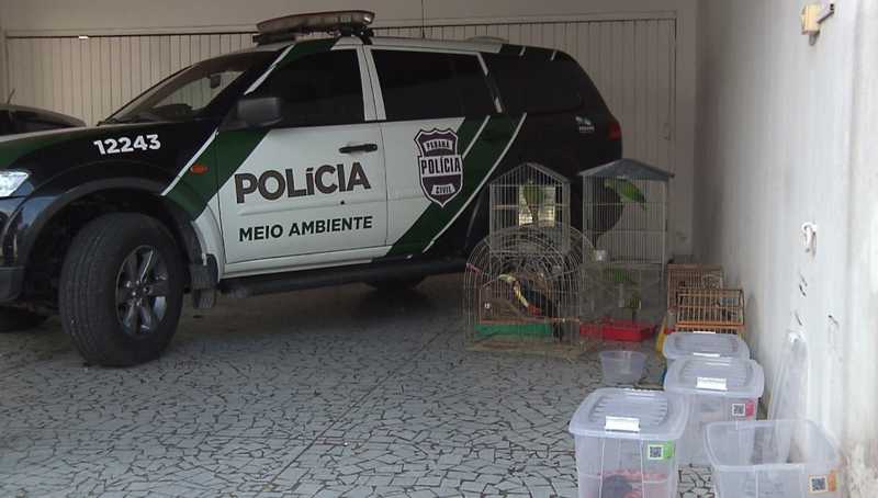 Suspeitos foram presos por manter os animais em cativeiro sem autorização — Foto: Reprodução/RPC