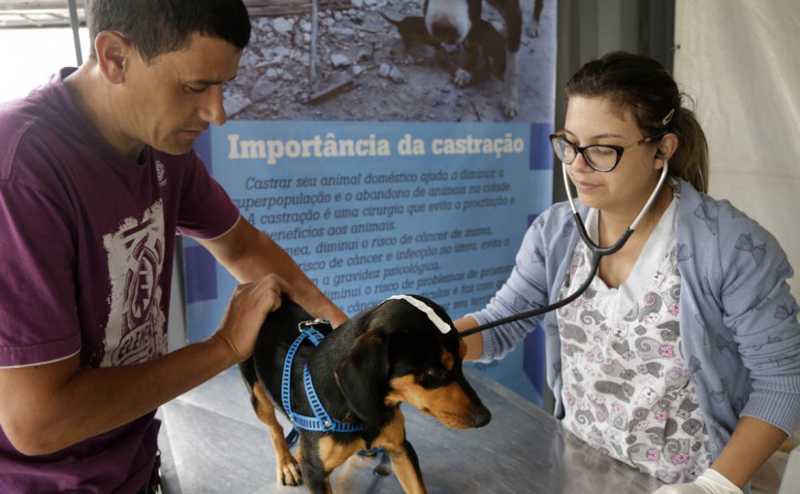 Mutirão de castração gratuita de cães e gatos em Curitiba ainda tem vagas; veja como se inscrever