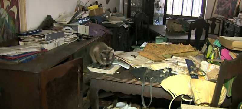 Gatos também foram encontrados dentro da residência — Foto: Reprodução/EPTV