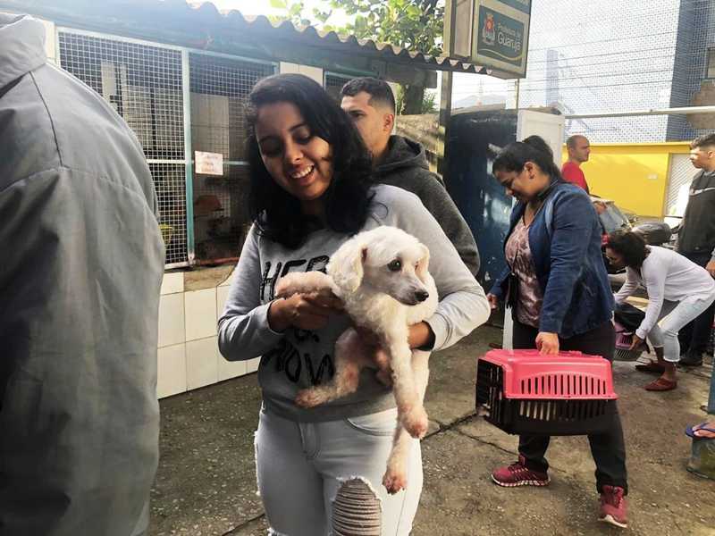 Guarujá (SP) disponibiliza 400 vagas para castração gratuita de cães e gatos