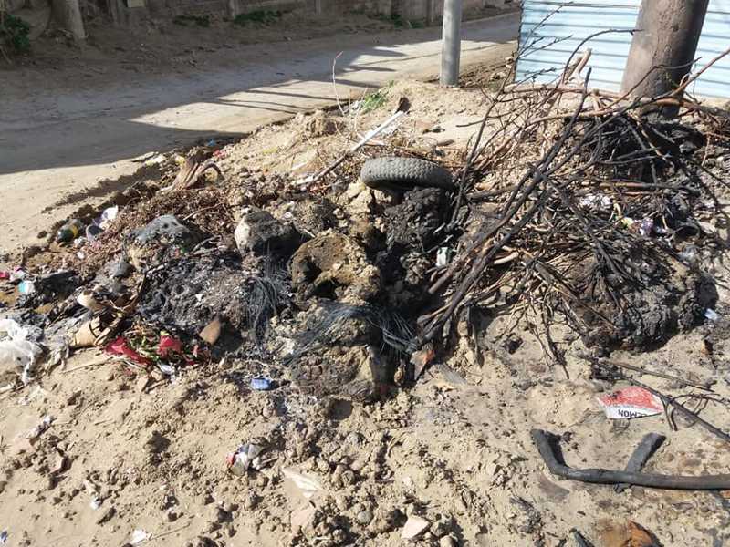 Amoantoado de cães e gatos queimados choca bairro em Comodoro Rivadavia, Argentina