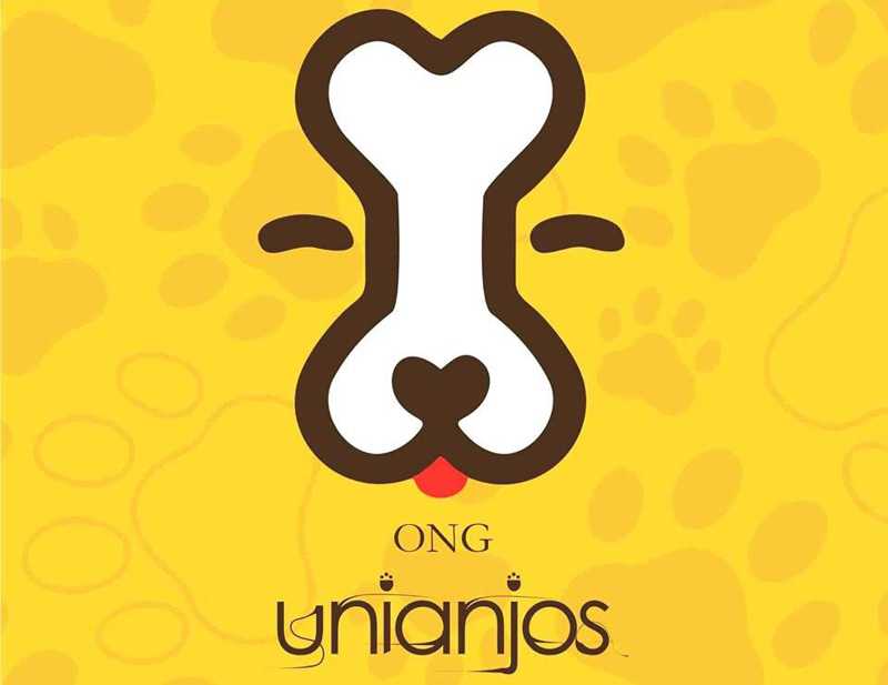 Após seis meses, ONG UniAnjos voltou a funcionar em Guanambi, BA