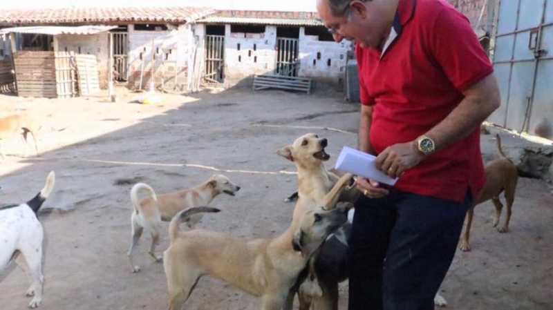 Bahia terá Semana de Conscientização e Proteção dos Direitos dos Animais