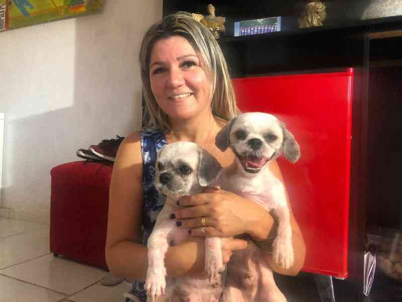 Dois dos 4 cachorros abandonados sem água e comida têm alta, e polícia abre inquérito para investigar crime no Ceará