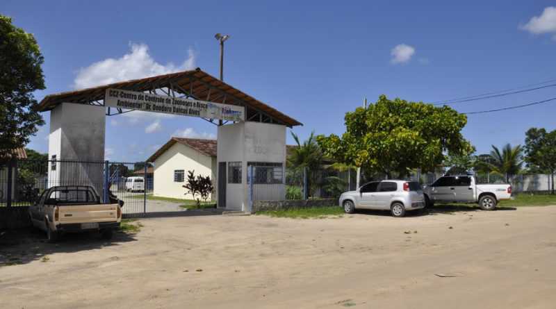 Prefeitura de Linhares (ES) inicia pré-cadastro para castração gratuita de animais na próxima semana na Zoonoses