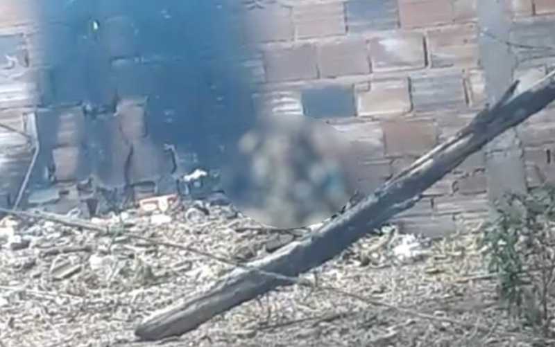 Homem é detido suspeito de cortar a cabeça e queimar cachorro dentro de casa, em Rio Verde, GO