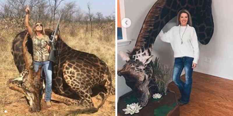 Piloto Lewis Hamilton critica caçadora premiada que matou girafa negra ameaçada de extinção