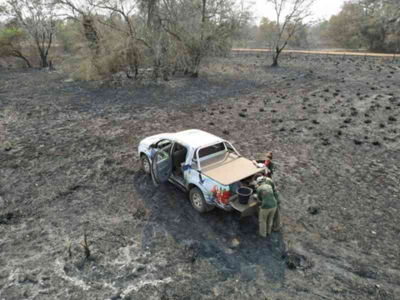 Incêndios terão efeito catastrófico para animais no Pantanal, prevê Instituto