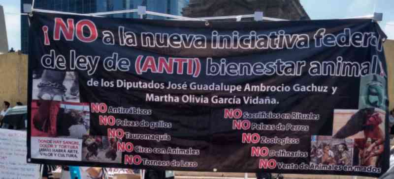 No México, ativistas protestam contra projeto de lei que trará novamente animais aos circos