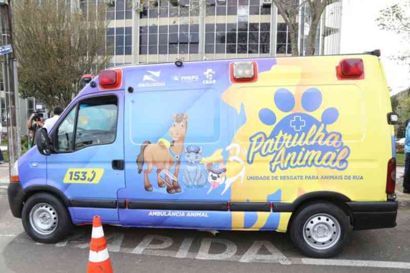 Patrulha Animal: Prefeitura de Ponta Grossa (PR) amplia rede de atendimentos para animais de rua