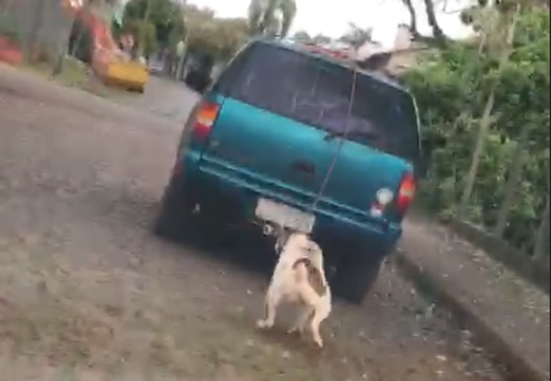 Cachorro é arrastado por ruas de Ijuí (RS) na tarde deste domingo; VÍDEO