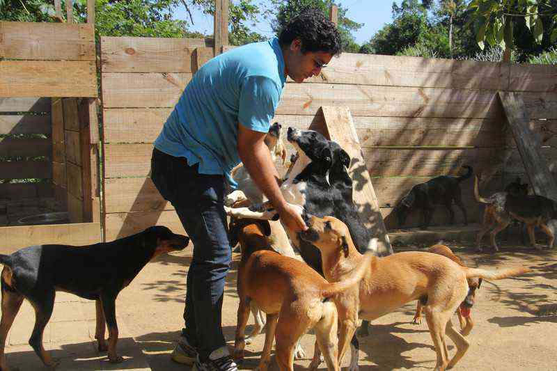 Abrigo cuida de animais e cria oportunidades para pessoas em situação de rua