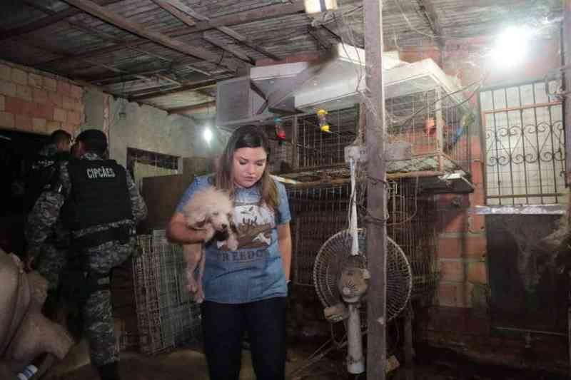 Cativeiro clandestino de animais é desmontado na Zona Leste de Manaus, AM