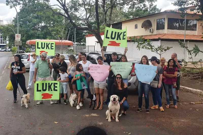Brasilienses protestam contra morte de Luke, cão espancado no DF