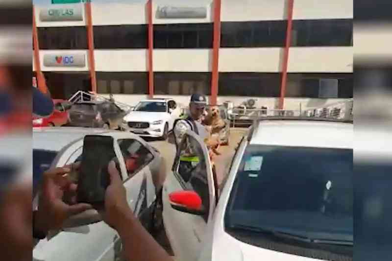 PM resgata cachorro preso em carro em estacionamento na Asa Sul, Brasília, DF