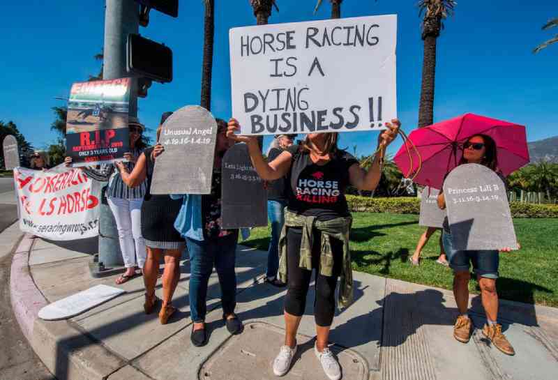 Mais um cavalo morre em Santa Anita, na Califórnia, EUA, uma semana antes da Copa dos Criadores