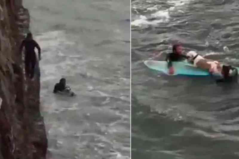 Esses surfistas arriscaram suas vidas para salvar um cachorro que caiu de penhasco e foi arrastado pelas ondas