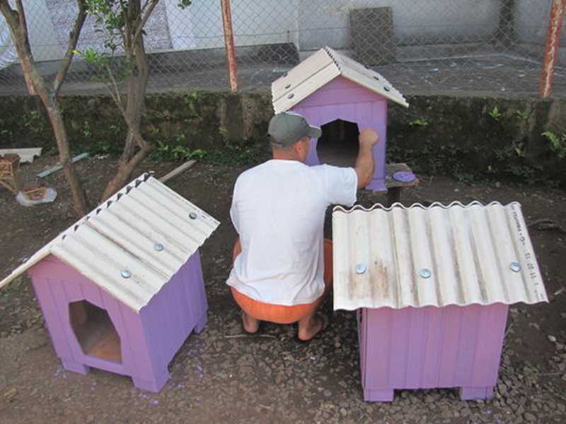 Detentos do Presídio de Encantado (RS) constroem casas para cachorros