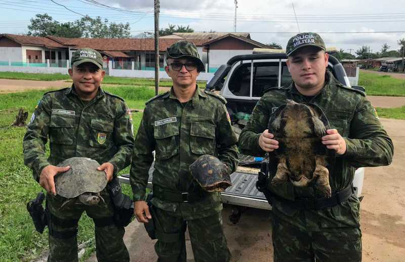 Quelônios furtados de reserva ambiental foram resgatados por policiais do município — Foto: Batalhão Ambiental/Divulgação