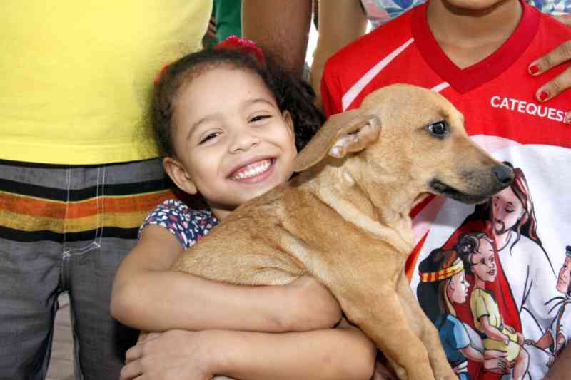Cuiabá: adoções triplicam e resgates de gatos e cachorros dobram em 2019
