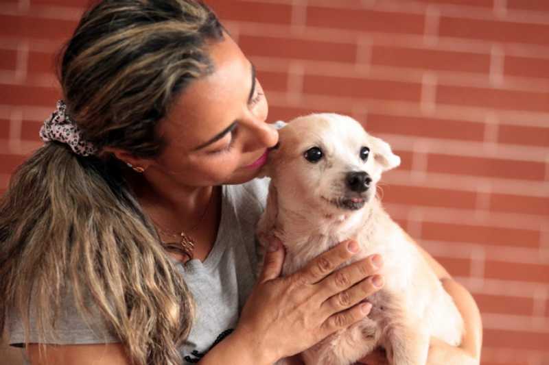 Cachorro de 17 anos é adotado por família de São Vicente, SP