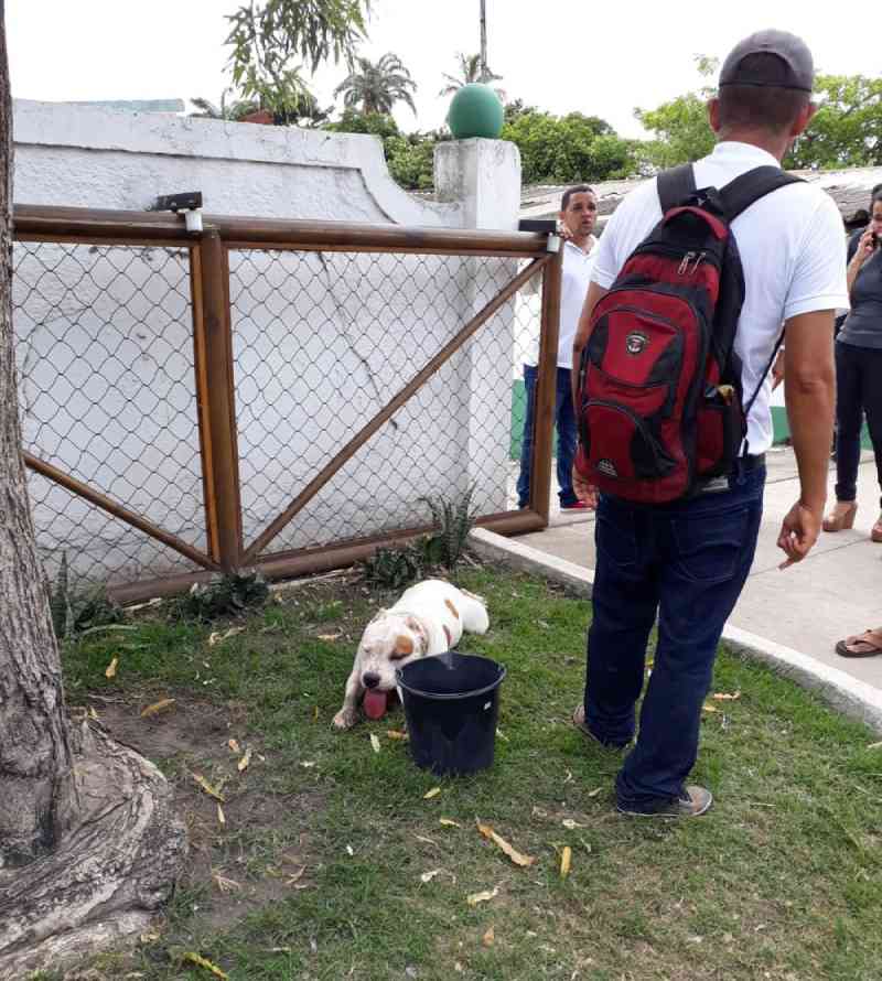 Homem é detido em Maceió após obrigar cachorro a percorrer quase 10 km e arrastá-lo