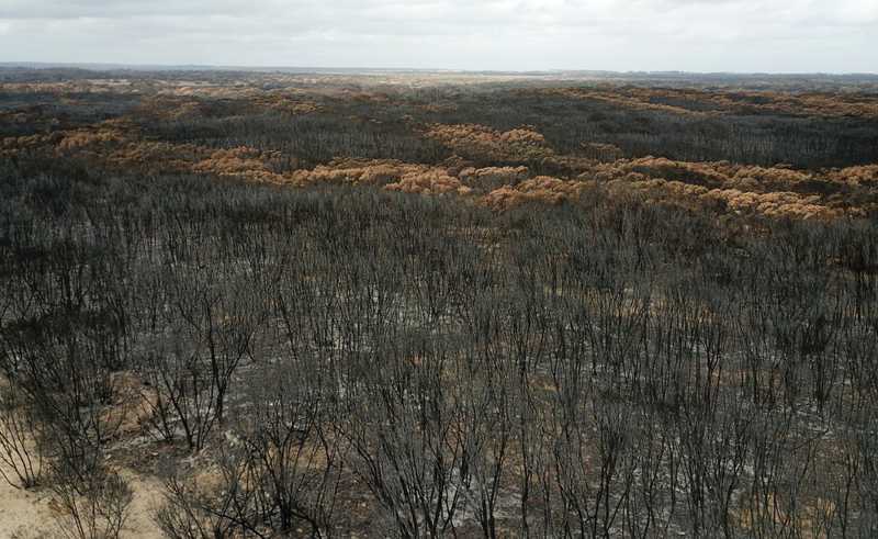 Foto aérea mostra a destruição na Ilha Kangaroo, na Austrália, nexta quinta (16), após incêndios florestais — Foto: Peter Parks/AFP