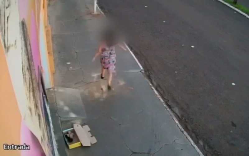 Menina abandona caixa com gatos na porta de pet shop em Jataí, GO; vídeo