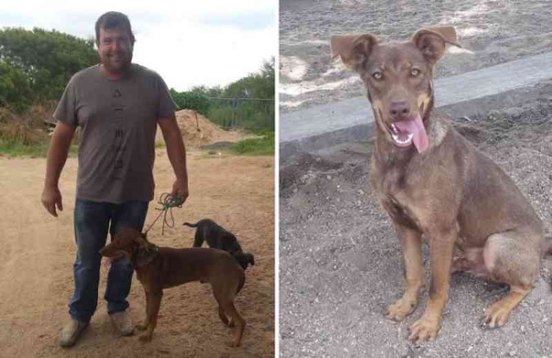 Homem que deixou o cão Cebolinha na ARCA não era seu tutor, diz internauta