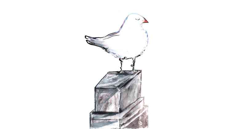 Marquesa do Pombal:  uma ave injustiçada