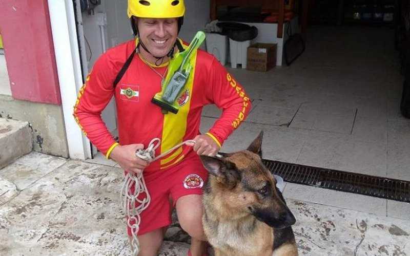 Bombeiros resgatam cachorro em alto-mar a 400 metros da praia em Balneário Camboriú, SC
