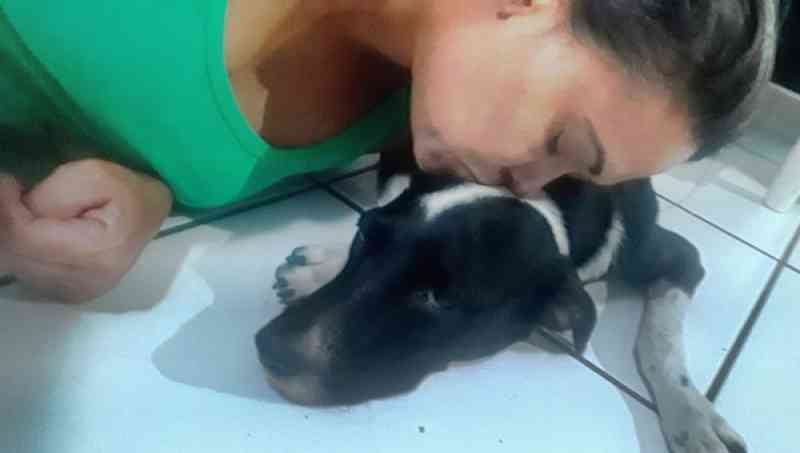 Cachorra resgatada de precipício morreu horas depois de receber alta: ‘Passou o último dia dela comigo’, diz tutora