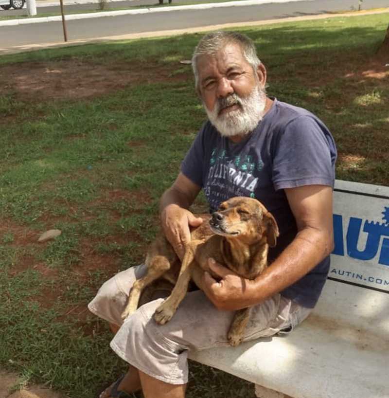 Morre tutor de cão que passou a noite na porta de hospital à espera dele