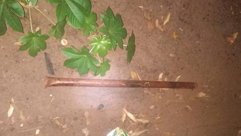 Tutor prende e mata cachorro com barra de ferro em São Carlos, SP