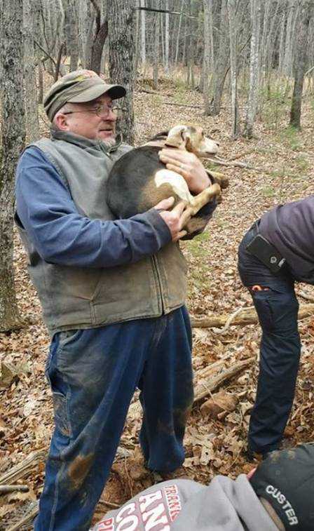 Henry após o salvamento Foto: Reprodução/Facebook(Franklin County VA Animal Control and Shelter)