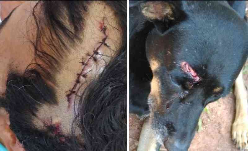 Morador de rua e seu cão sofrem agressões enquanto dormiam em Araras, SP