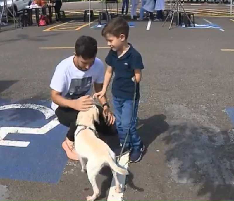 Criança com deficiência adota cachorro vira-lata sem pata, em Londrina — Foto: Reprodução/RPC