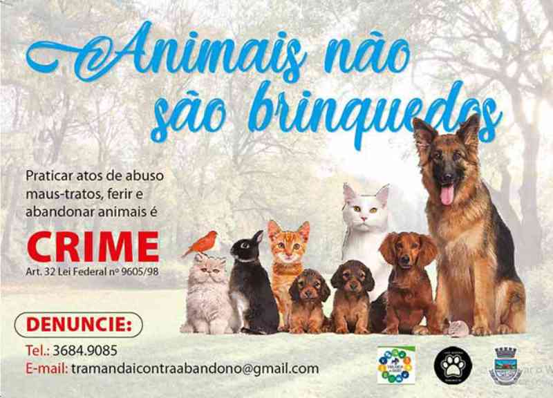 Tramandaí (RS) lança campanha contra maus-tratos de animais